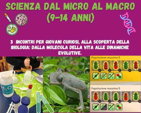 scienza dal micro al macro